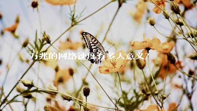 万兆的网络速度有多大意义？